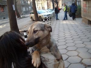 Прикачена снимка