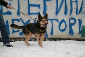 Прикачена снимка