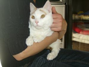 Прикачена снимка