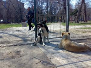 Прикачена снимка
