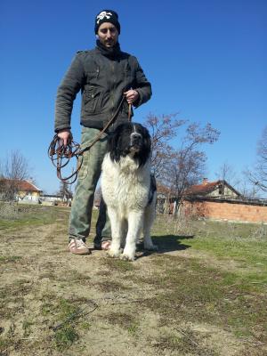 Прикачена снимка