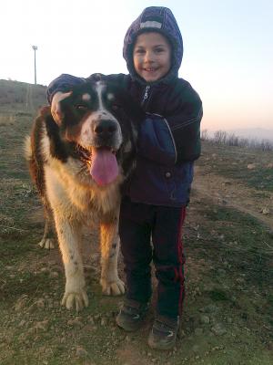 Прикачена снимка
