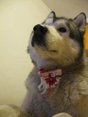 Прикачена снимка