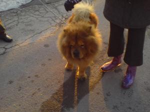 Прикачена снимка