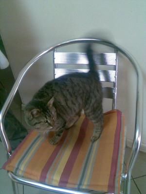 Прикачена снимка
