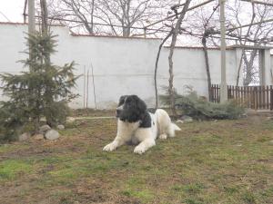 Прикачена снимка