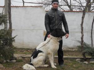 Прикачена снимка