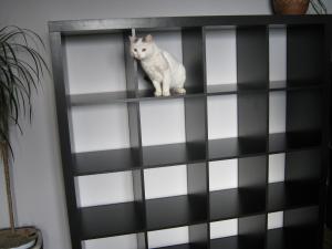 Прикачена снимка