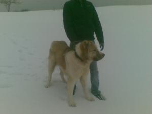 Прикачена снимка