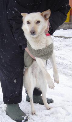 Прикачена снимка