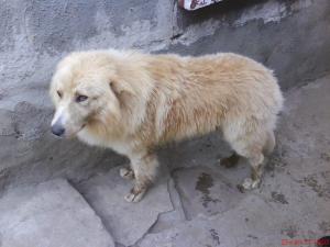 Прикачена снимка