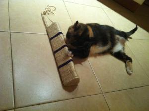 Прикачена снимка