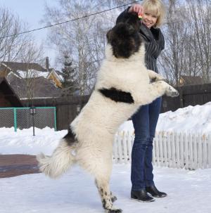 Прикачена снимка