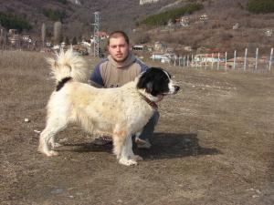 Прикачена снимка