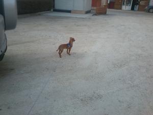 Прикачена снимка