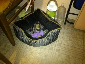 Прикачена снимка