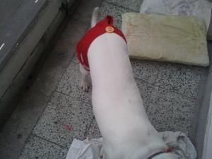 Прикачена снимка