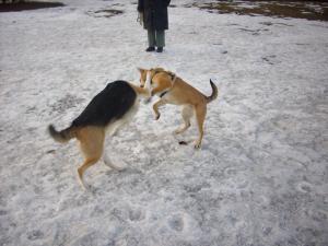Прикачена снимка