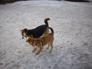 Прикачена снимка