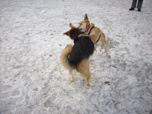 Прикачена снимка