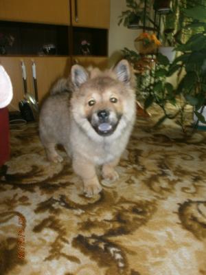 Прикачена снимка