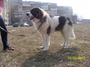 Прикачена снимка