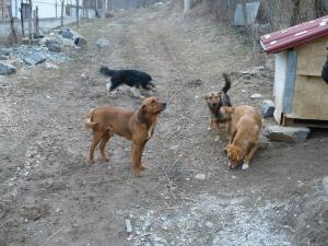 Прикачена снимка