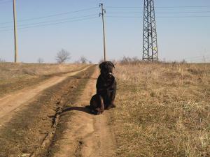 Прикачена снимка
