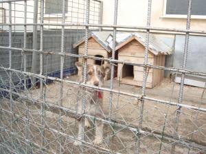 Прикачена снимка