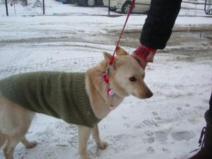 Прикачена снимка