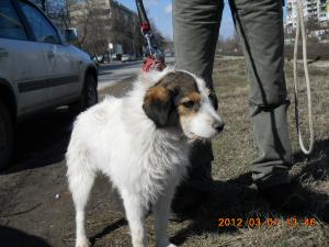 Прикачена снимка