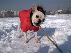 Прикачена снимка