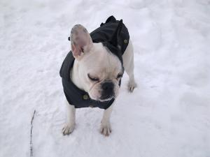 Прикачена снимка