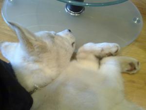 Прикачена снимка