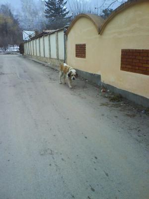 Прикачена снимка