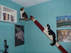 Прикачена снимка