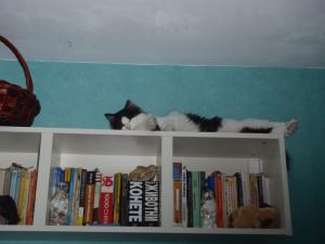 Прикачена снимка