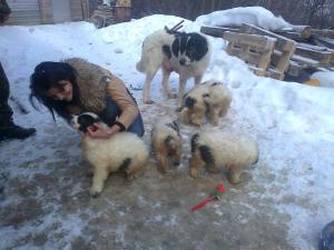 Прикачена снимка
