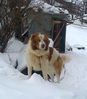 Прикачена снимка