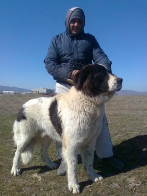 Прикачена снимка