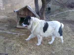 Прикачена снимка