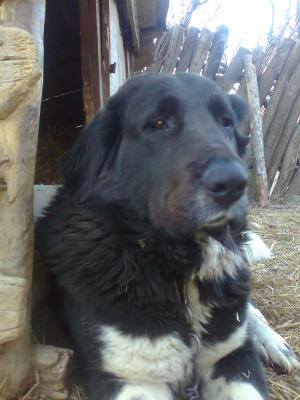 Прикачена снимка