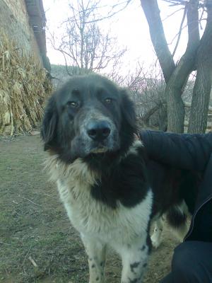 Прикачена снимка