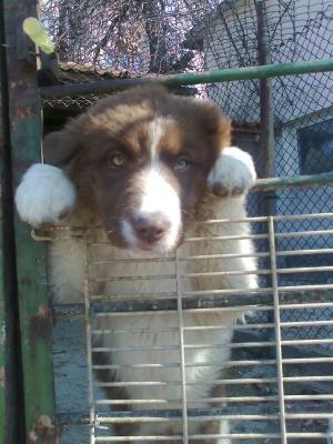 Прикачена снимка