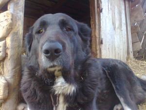 Прикачена снимка