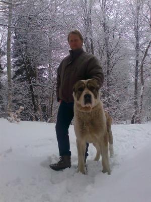 Прикачена снимка