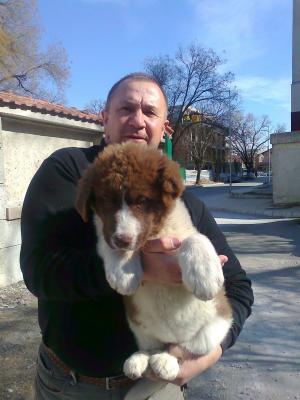 Прикачена снимка