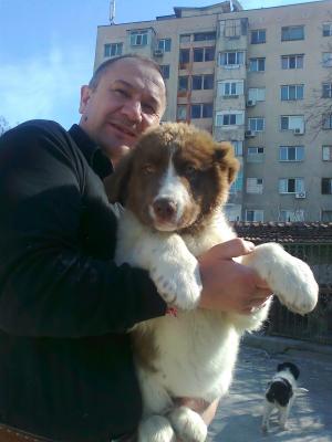 Прикачена снимка