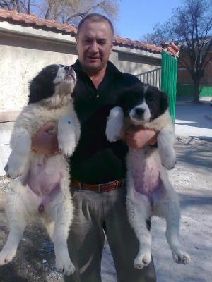 Прикачена снимка