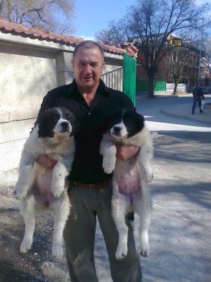 Прикачена снимка